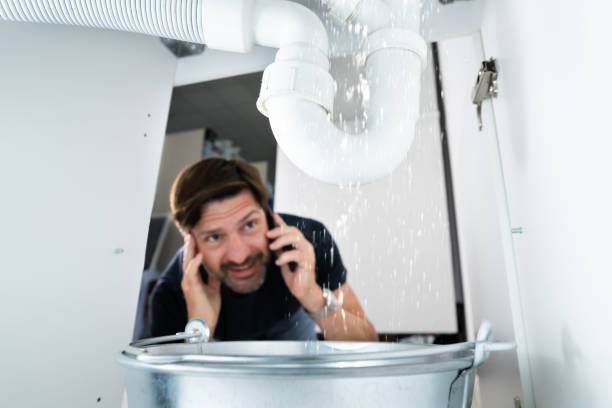 Best Shower Repair Services  in Roseland, NJ