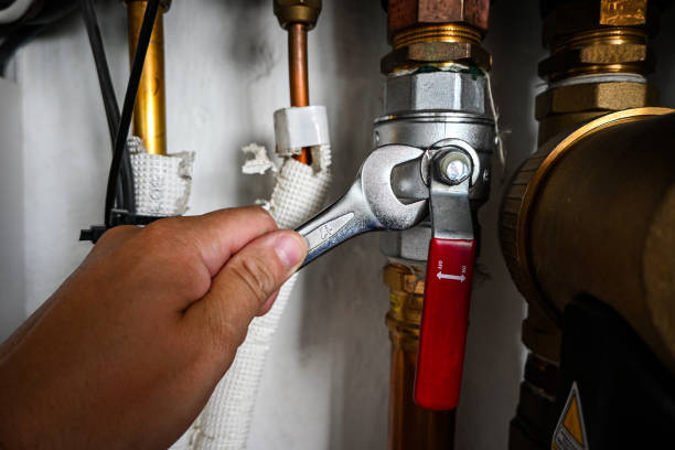Best Local Plumber Services  in Roseland, NJ